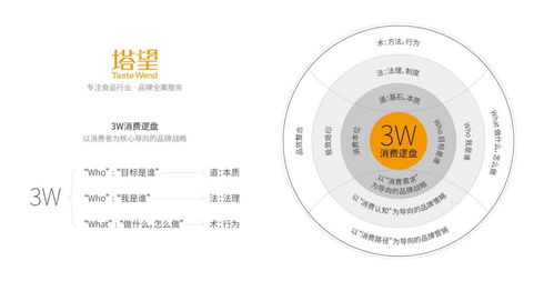 塔望核心業務介紹 食品品牌咨詢、品牌策劃與健康咨詢服務的專業體系